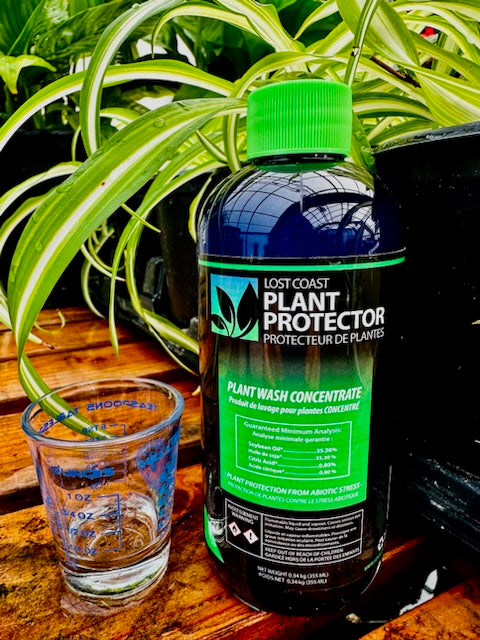 Lost Coast Plant Protector