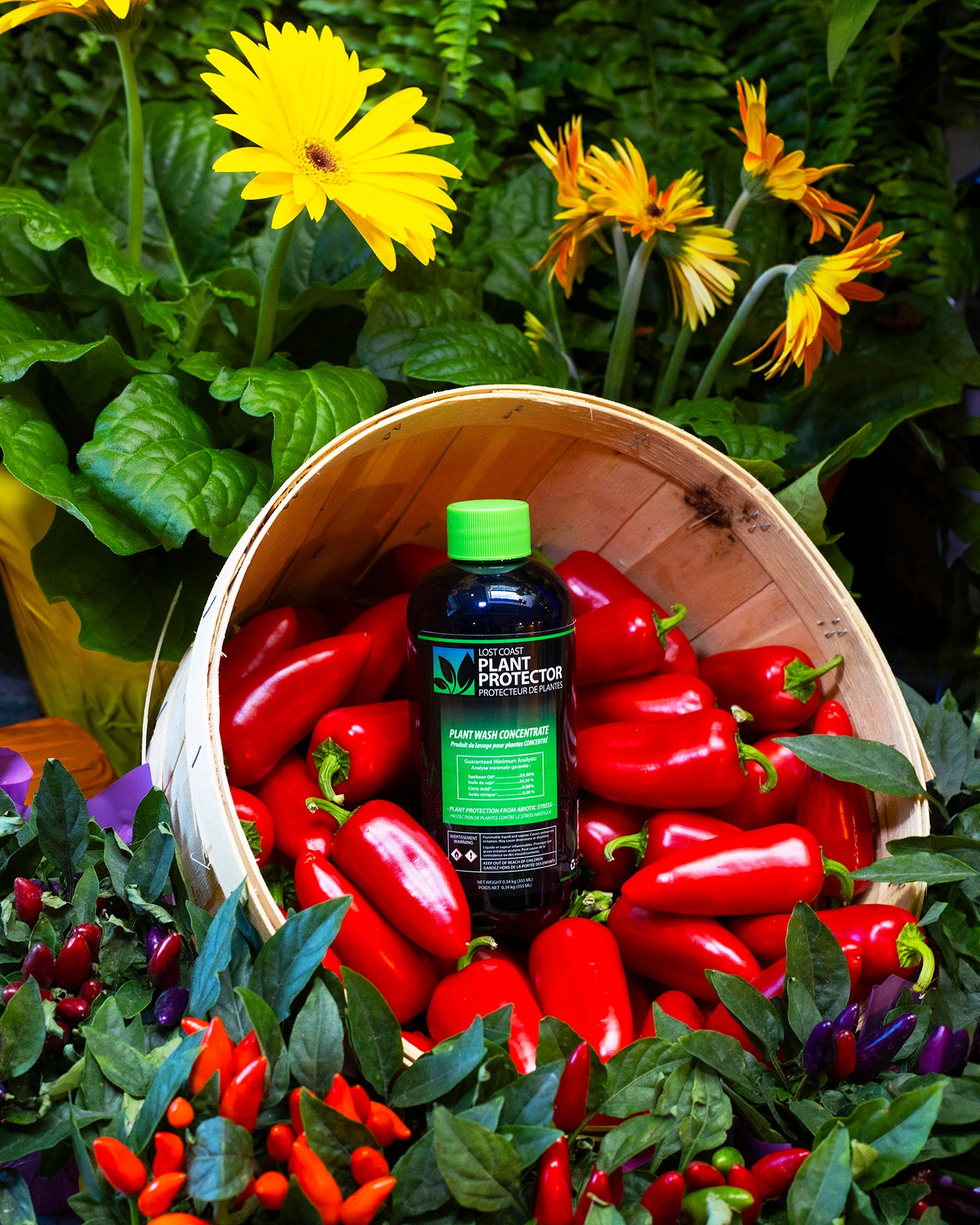 Healthy plant growth