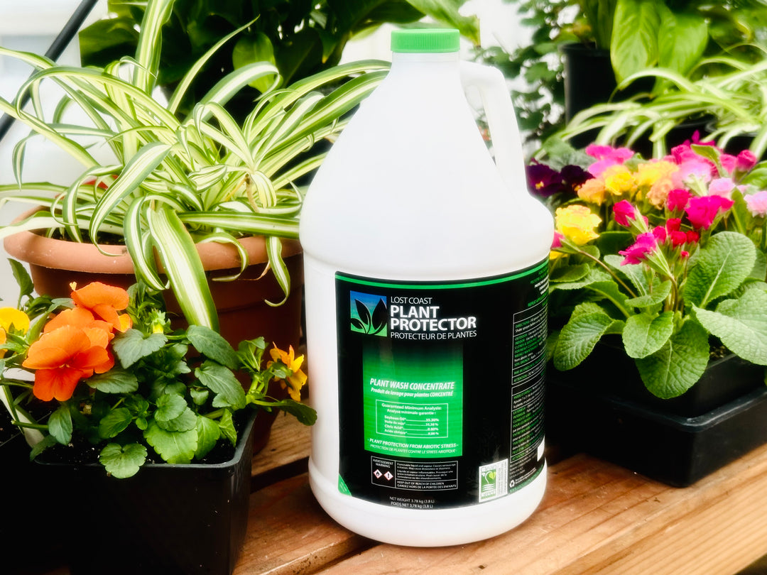with flower starts_1 gallon