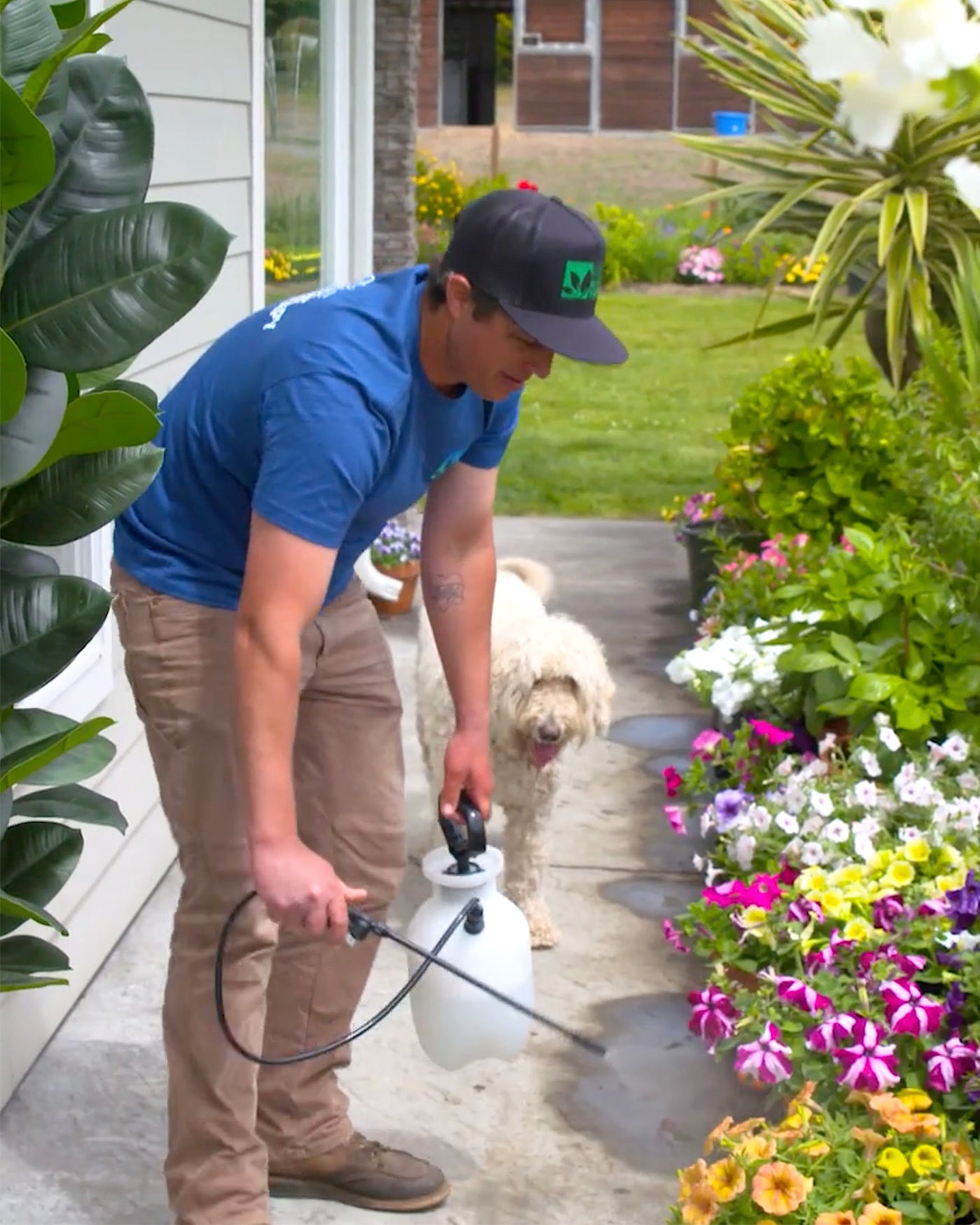 Sprayer in garden