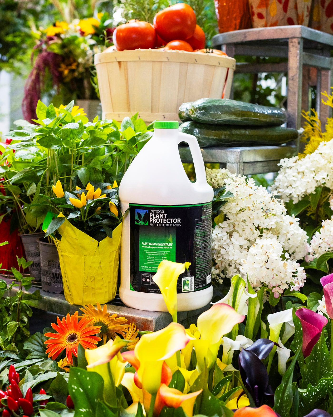 Lost Coast Plant Protector bottle