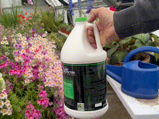 Shake well before measuring