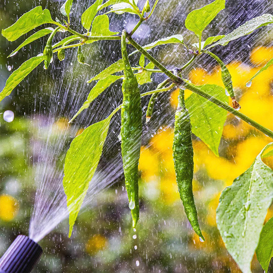 Abiotic stress in plants