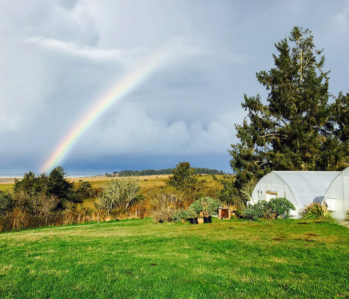 Humboldt County family farm