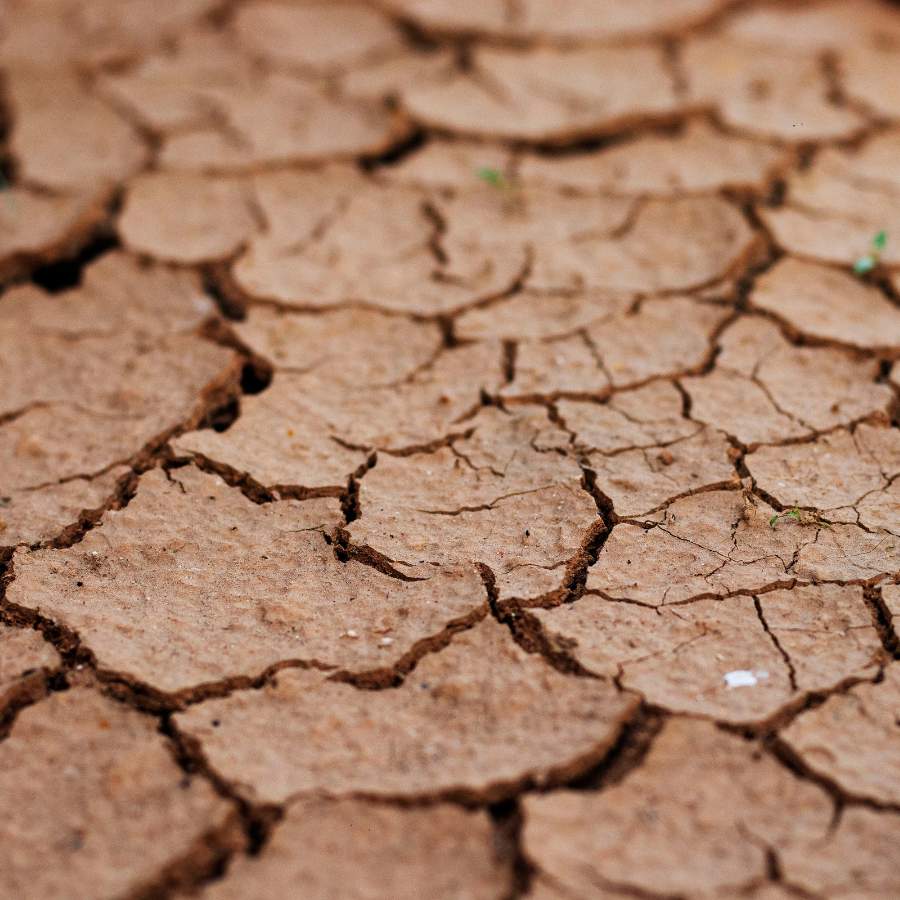 Drought Stress