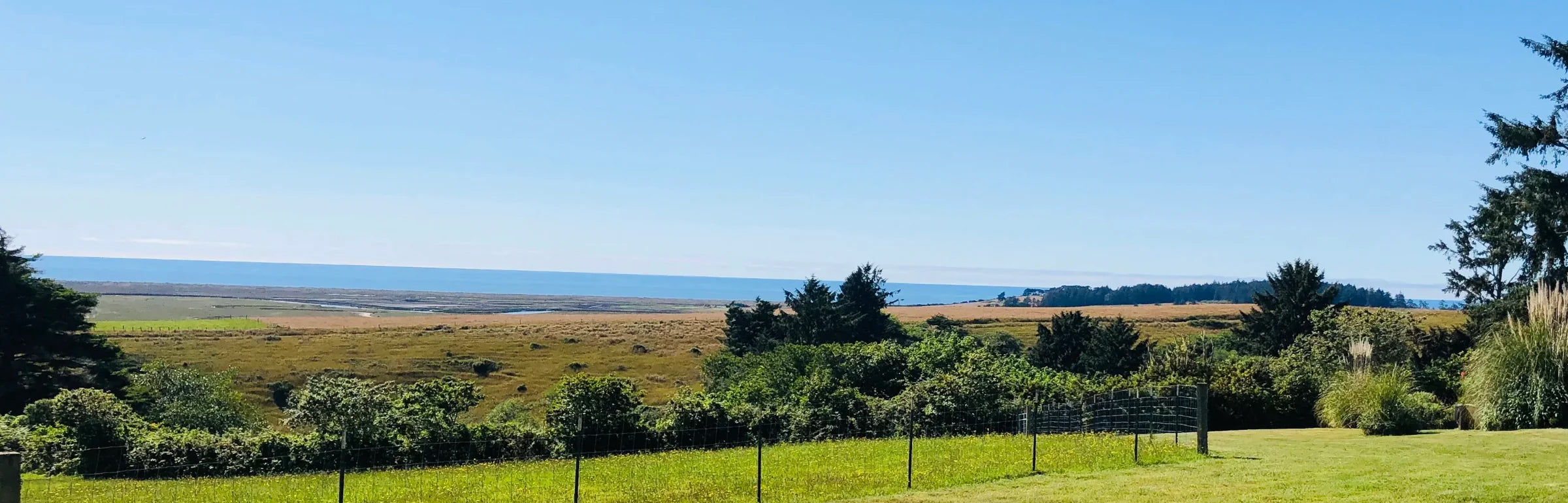 Lost Coast farm landscape