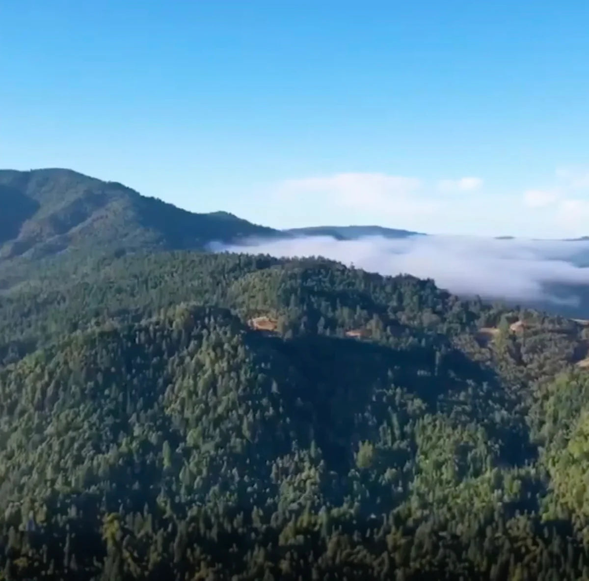 Lost Coast family farm in Humboldt County