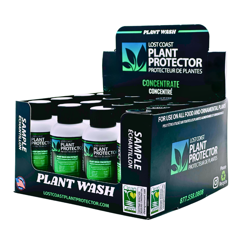 Wholesale display
