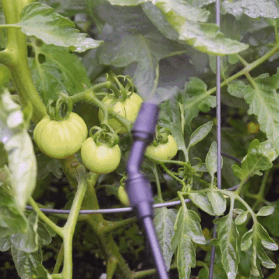 Fully saturate your plants