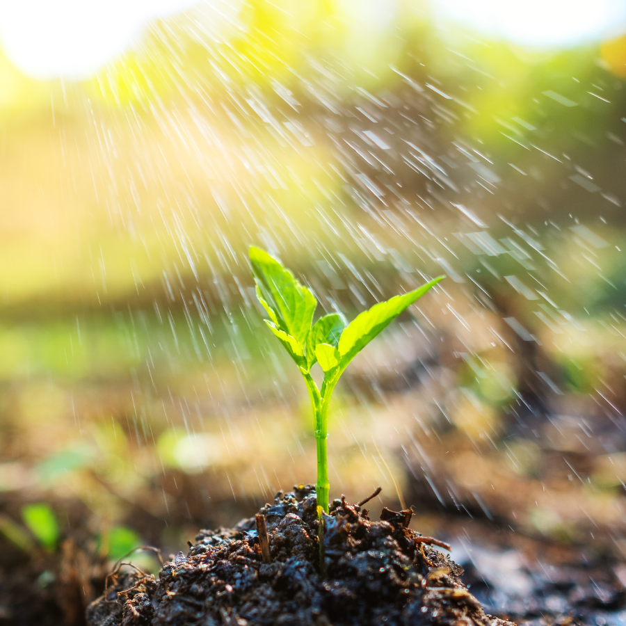 Soil drench